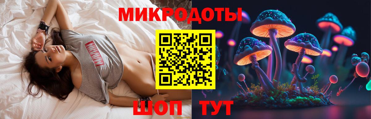 закладки  Псилоцибиновые грибы GOLDEN TEACHER  Вход с VPN  Горно-Алтайск 