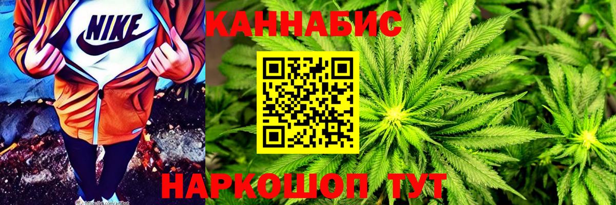 Бошки Шишки планчик Горно-Алтайск